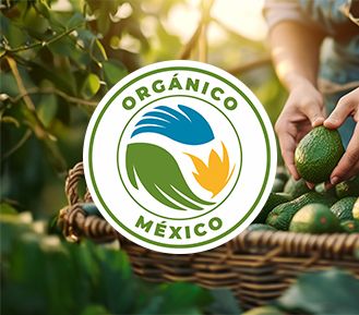 Mexico Organic Certification LPO