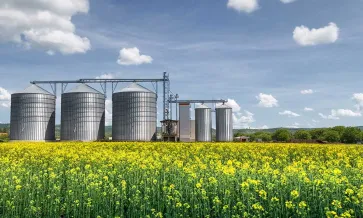 Cơ sở sản xuất nhà máy trên đồng cỏ, bầu trời xanh