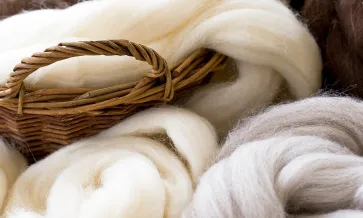 Stella McCartney Studie: Människan skapade cellulosafiber från 10 källor