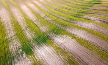 Vista de pájaro de un campo