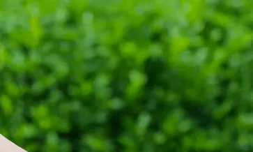 Life Cycle Assessment: The Ultimate Tool for Reducing Product Environmental Impacts