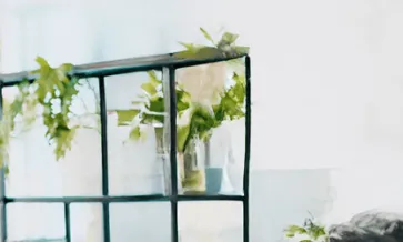 How to Craft the Most Effective Sustainability Messaging