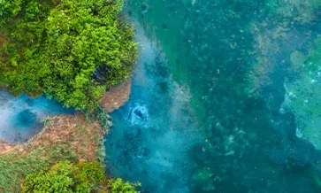 Avaliação comparativa da gestão da água num cenário regulamentar global em mutação