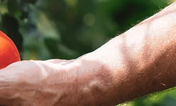 Leveraging Local Auditing Expertise in Mexico for Seamless Compliance and Cost Efficiency