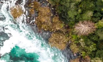 Démontrer un leadership en matière de gestion de l’eau grâce à la certification