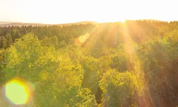 Navigating EU Regulations: A Deep Dive into EUTR and EUDR