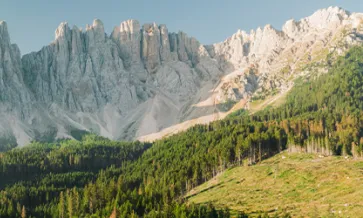 Requisitos de diligencia debida del Reglamento de la UE sobre deforestación