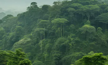 فهم متطلبات الاتحاد الأوروبي للمصدرين في غرب أفريقيا