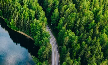 Conformidade com a EUDR: O que precisa de saber e como a SCS pode ajudar