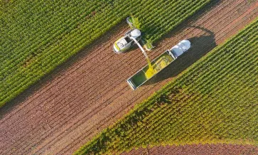 DIFERENCIAS Y SIMILITUDES ENTRE LOS ESTANDARES DE INOCUIDAD ALIMENTARIA EN EL MERCADO INTERNACIONAL Y SU PERSPECTIVA AL 2023