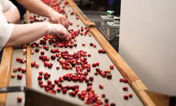 Food Integrity Certifications