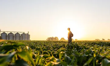 Farmer overlooking a farm