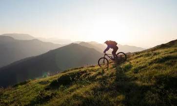 Fat Tire Öl