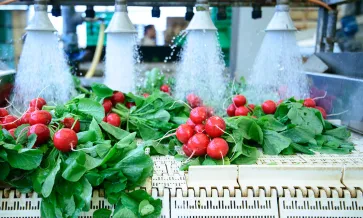 Sécurité alimentaire