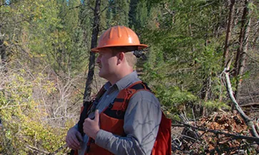 Forest Management