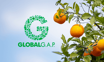 GlobalG.A.P. Tour Stop Costa Rica 2025
