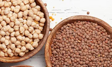 Kritische controlepunten en testvereisten voor SCS glutenvrije certificering