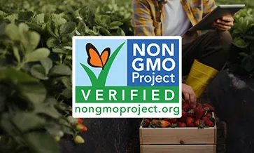 Einhaltung der „Non-GMO Project“-Richtlinien: Anforderungen an die Probenahme und Prüfung von Kulturpflanzen mit hohem Risiko
