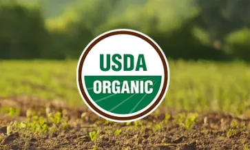 USDA-biologische certificering: Wat niet-gecertificeerde importeurs moeten weten