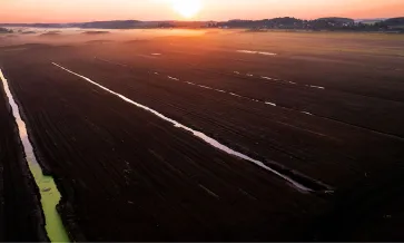 Terra turfosa