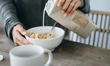 Alimentos de origen vegetal