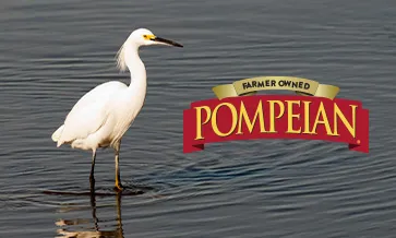 Pompeian's Sunrise Olive Ranch promueve la biodiversidad mediante un innovador control de las algas
