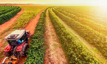 Webinar de Rainforest Alliance