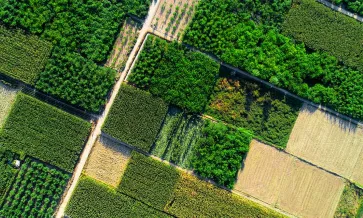 Farm