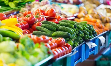 Sustainably Grown Imagen