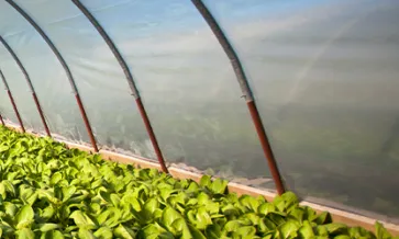 Prevenção da Fraude Orgânica SOE