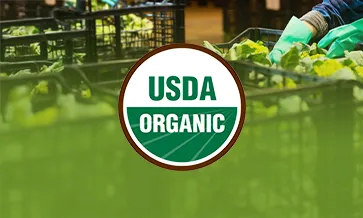 USDA Organic Certification for Handlers: The Organic System Plan (OSP) Explained