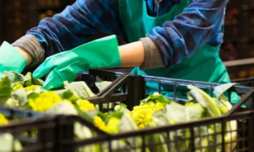 การรับรองเกษตรอินทรีย์ USDA สำหรับผู้ดำเนินการ: อธิบายแผนระบบการเกษตรอินทรีย์ (OSP)