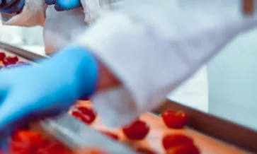 Desentrañar la certificación GFSI