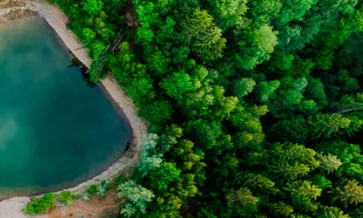 Estado actual de la administración del agua