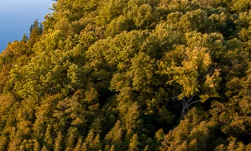 Wasserbewirtschaftung im Nahen Osten: Nachhaltige Ansätze für ein sich veränderndes Klima