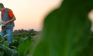 The New Organic Rulebook: Certification for Importers, Distributors and More