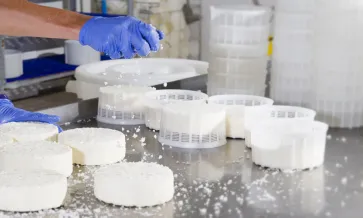 Worker processing food