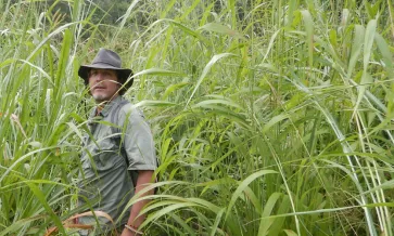 Auditor da SCS Francis Eaton no Auditor Florestal