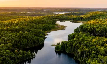 Flod som rinner genom en skog från ovan