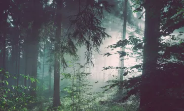 Assembleia Geral do FSC