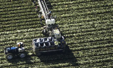 Auditoria de Segurança Alimentar Campo de cultivo