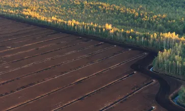 Terra turfosa turfeiras geridas de forma responsável