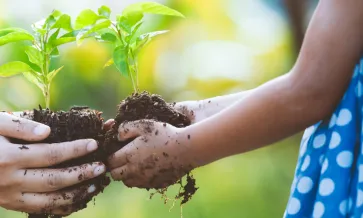 duas mãos segurando uma planta