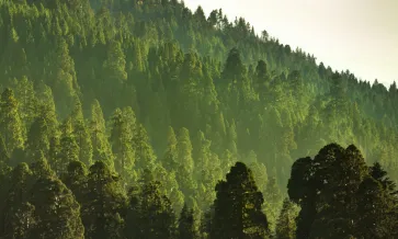 Avaliação do Ciclo de Vida