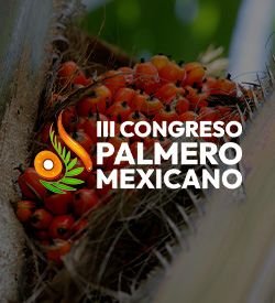 Hội nghị Palmero Mexico lần thứ III