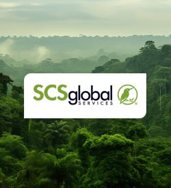 Comprendre les exigences de l'EUDR pour les exportateurs d'Afrique de l'Ouest