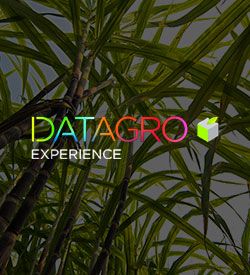 25ª Conferencia Internacional DATAGRO sobre Açúcar e Etanol 2025