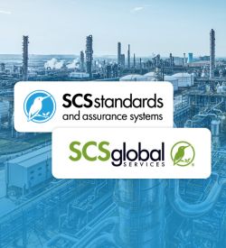 Avenues for Decarbonizing the Chemicals Industry: An Updated Tour the SCS Carbon Assured ™ Certification