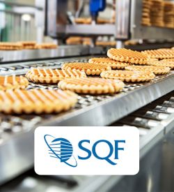 SQF 第10版：更新与变更管理流程