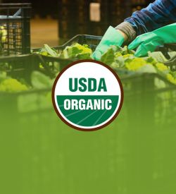 USDA Organic Certification for Handlers: The Organic System Plan (OSP) Explained